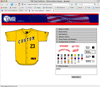 Professional web design