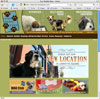 Professional web design